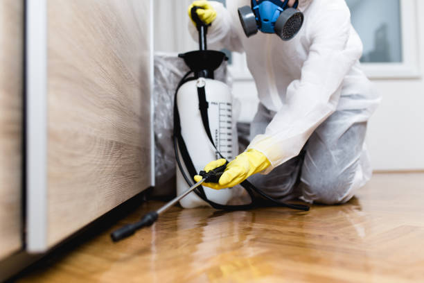 Trusted Mowbray Mountain, TN Pest Control Experts