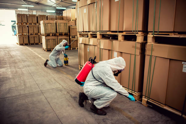 Best Pest Control Near Me in Mowbray Mountain, TN