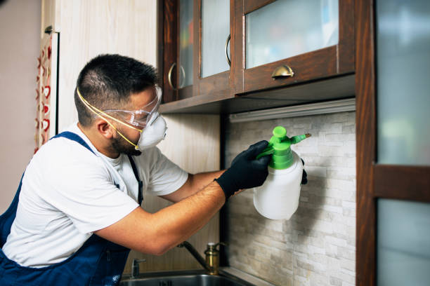 Best Cockroach Control Services  in Mowbray Mountain, TN