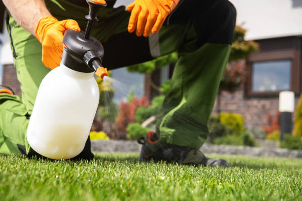 Best Flea Control Services  in Mowbray Mountain, TN