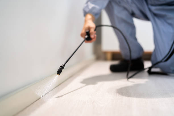 Best Wasp Removal Services  in Mowbray Mountain, TN
