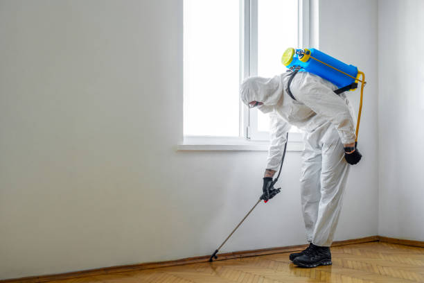 Best Bed Bug Extermination  in Mowbray Mountain, TN