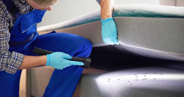 Best Residential Pest Control  in Mowbray Mountain, TN