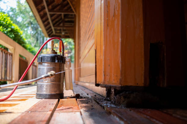 Pest Prevention Services in Mowbray Mountain, TN