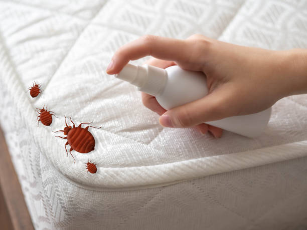 Best Best Pest Control Near Me  in Mowbray Mountain, TN