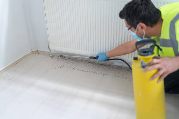 Best Best Pest Control Companies  in Mowbray Mountain, TN